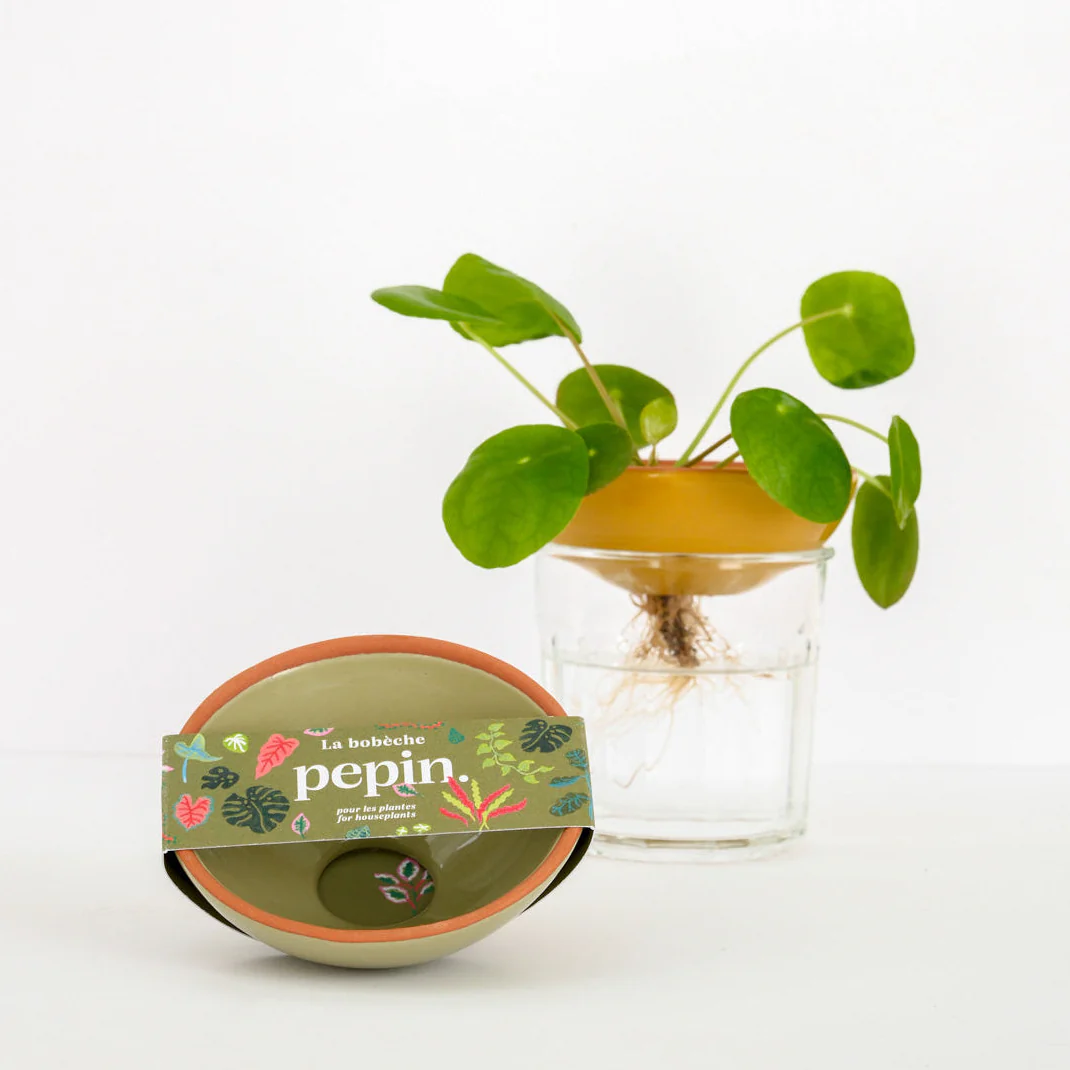 Miniature 1