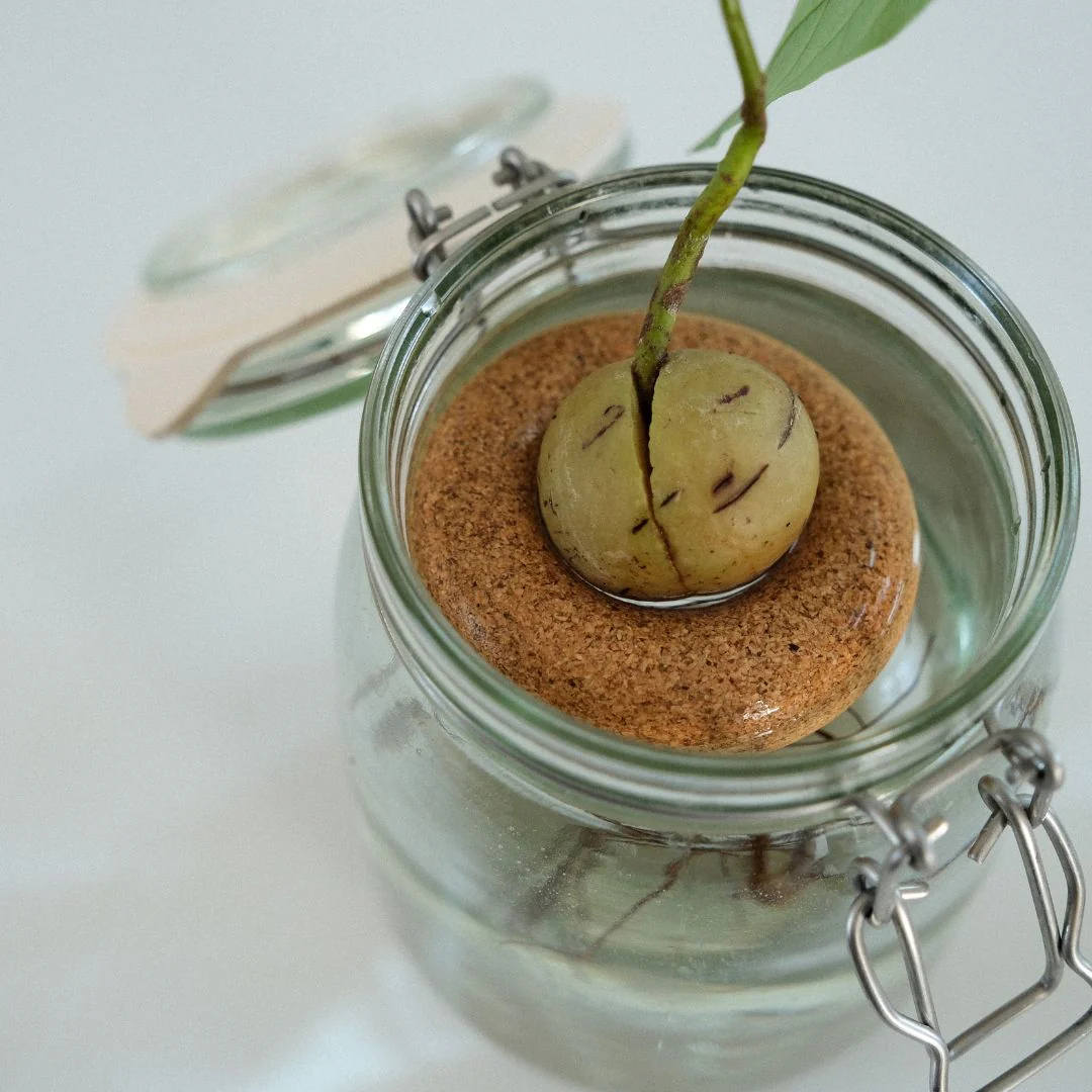 Bouée pour avocat - Gigi - Image 4